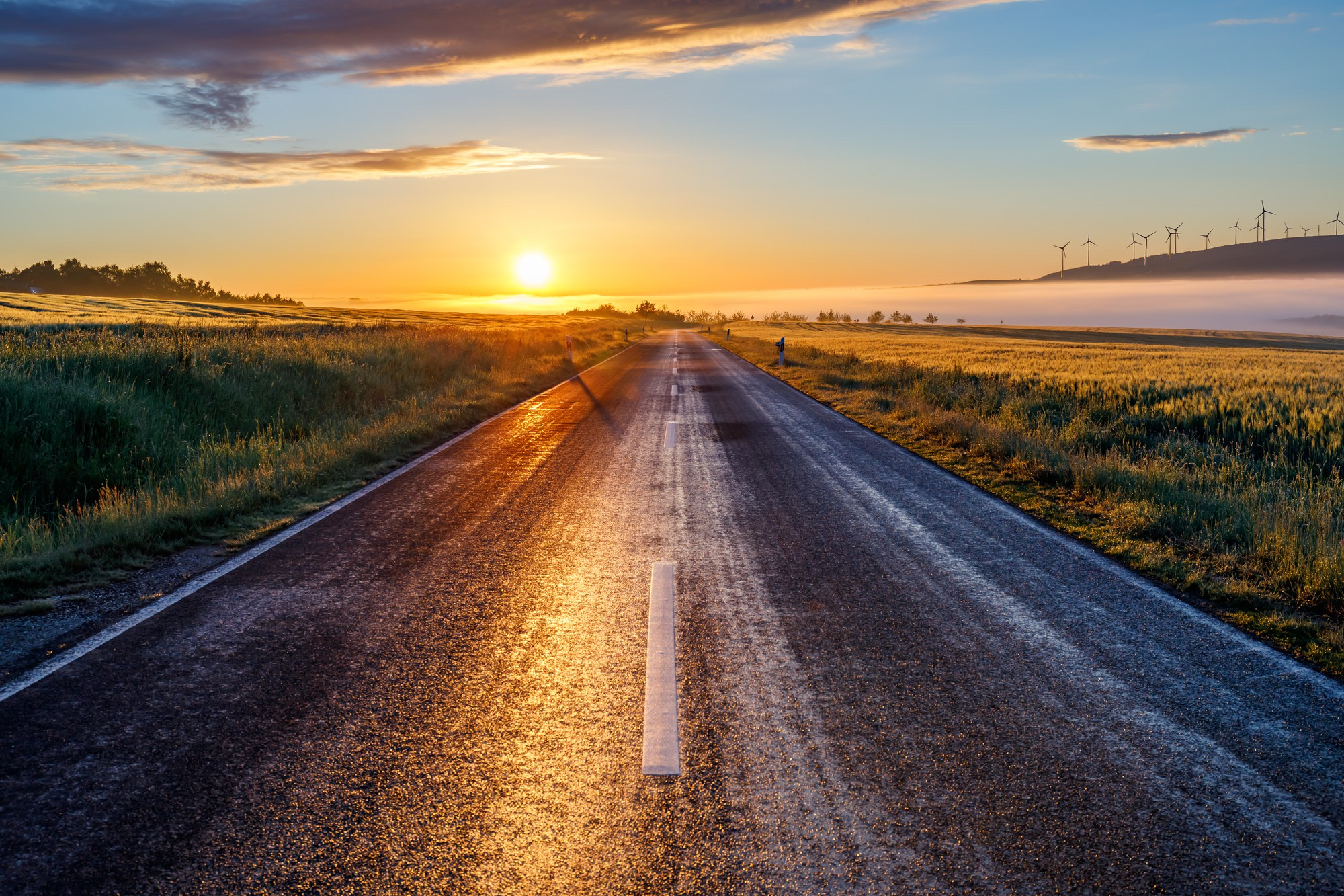 Highway Cleanups